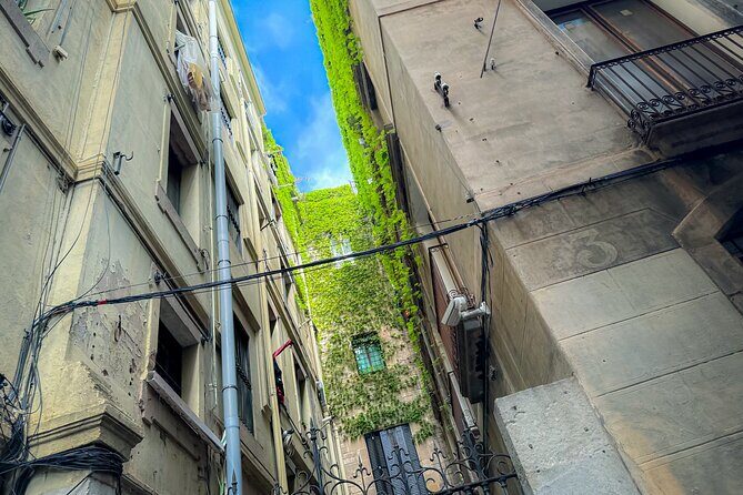 3-Hour Private Guided Walking Tour of Barcelona - Starting at Lamaro Hotel: where your orientation clicks