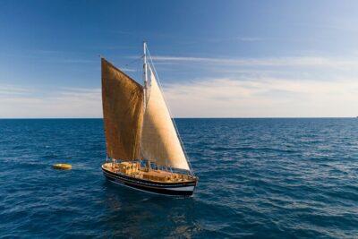 8-Hour Whale Watching in Barcelona - The onboard marine biologist: learning whale watching as you go