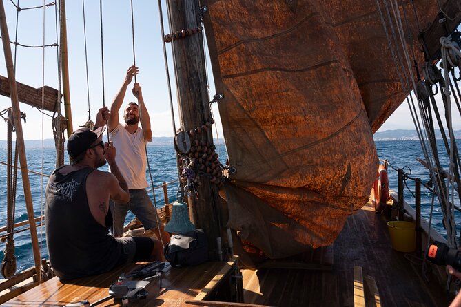 8-Hour Whale Watching in Barcelona - Wildlife sightings you can realistically hope for
