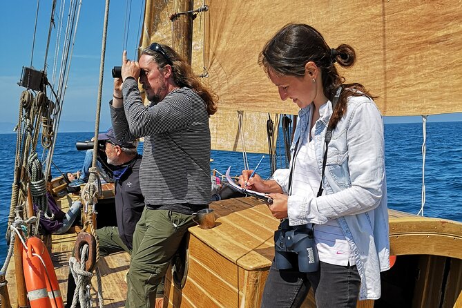 8-Hour Whale Watching in Barcelona - Helping hoist the sails on the way back