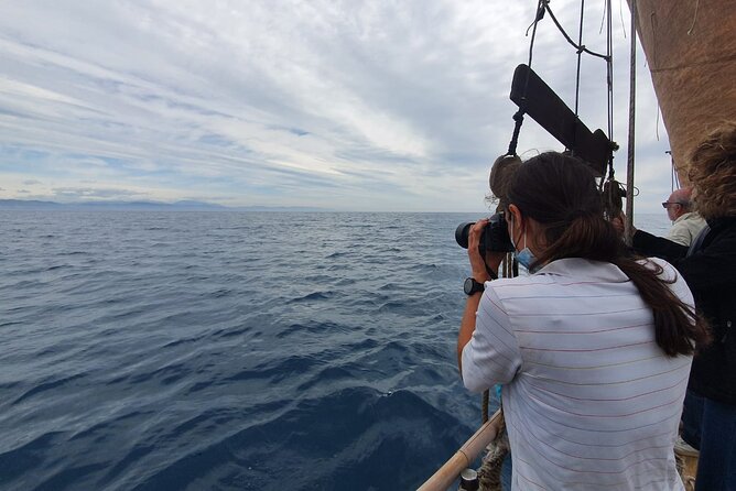 8-Hour Whale Watching in Barcelona - Food on board: breakfast and a typical marinera lunch option