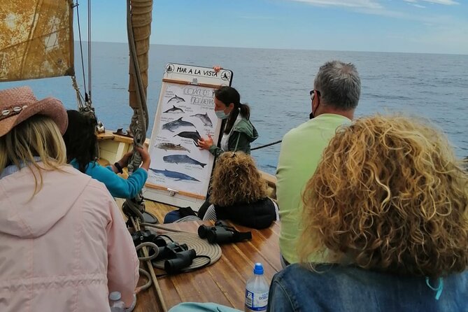 8-Hour Whale Watching in Barcelona - Getting there and making it fit your Barcelona itinerary