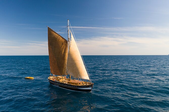 8-Hour Whale Watching in Barcelona - The onboard marine biologist: learning whale watching as you go