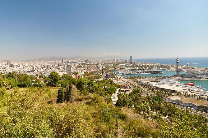 8 hours Barcelona Highlights Private tour - Price and value: what $1,324.52 per group actually means