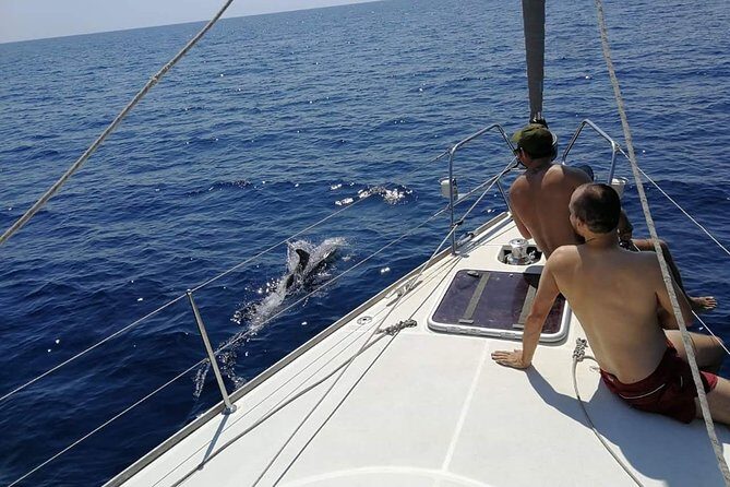 Authentic Barcelona Sailing Tour with Swim & Drinks - Your Route: La Barceloneta, Port Olimpic, Port Vell, and Pont del Petroli