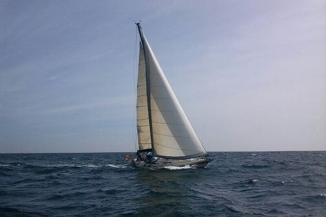 Authentic Barcelona Sailing Tour with Swim & Drinks - The Captain: Why Miquel’s Style Is Part of the Product