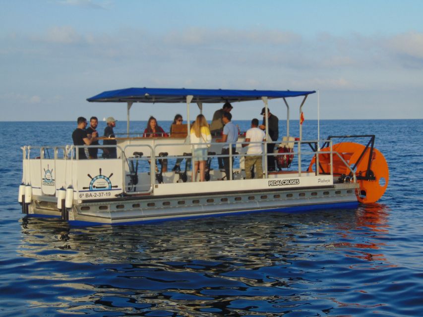 Barcelona: 1.5-Hour Private Scenic Pedal Boat Tour - Pedal seats vs. engine help: how much work are you really doing?
