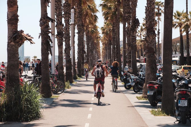 Barcelona 3-hour Bike or E-Bike Tour: Highlights and Hidden Gems - Palace of Catalan Music: Modernisme Beyond Gaudí