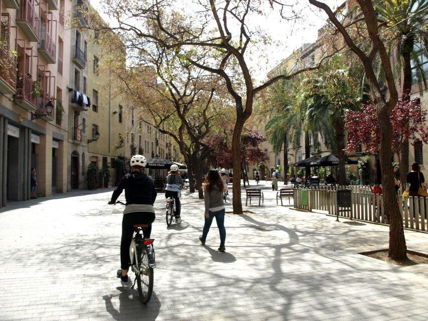 Barcelona 3 Hour Daily Electric Bike Tour - Key things worth your attention