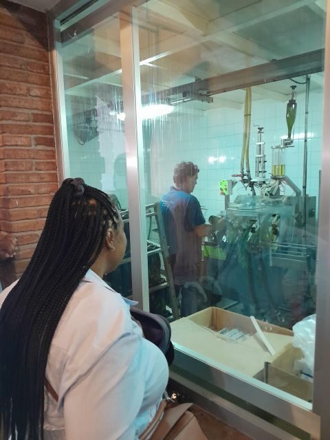 Barcelona: 3 Penedes Wineries with Hotel Pick-up and Lunch - A Penedès cava day from Barcelona: what the 7 hours really feel like