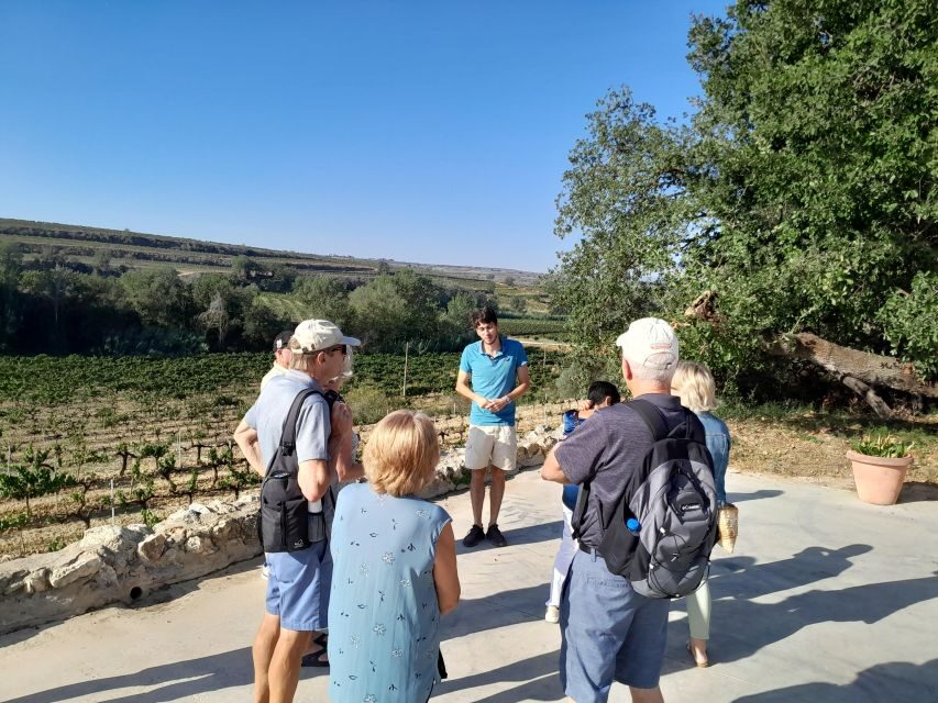 Barcelona: 3 Penedes Wineries with Hotel Pick-up and Lunch - Stop 3: Long-aged cavas with chocolate and Catalan biscuits
