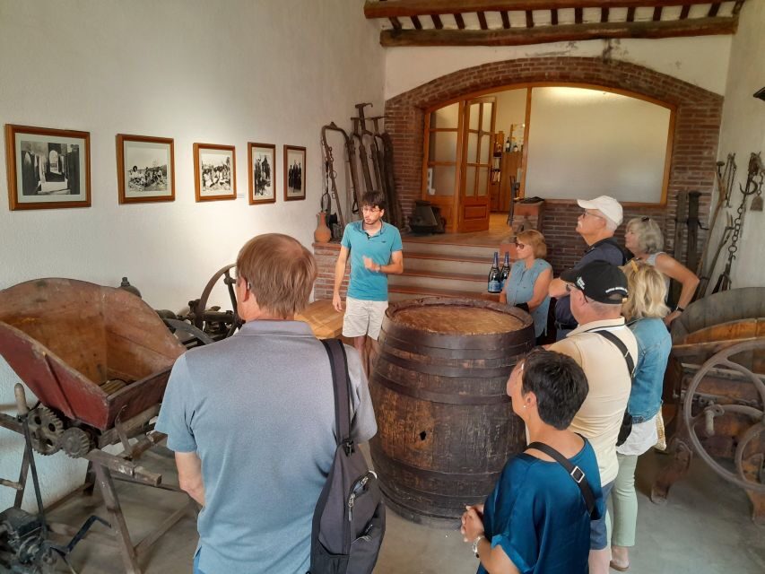 Barcelona: 3 Penedes Wineries with Hotel Pick-up and Lunch - Price and value: what $206 buys you (and what it doesn’t)