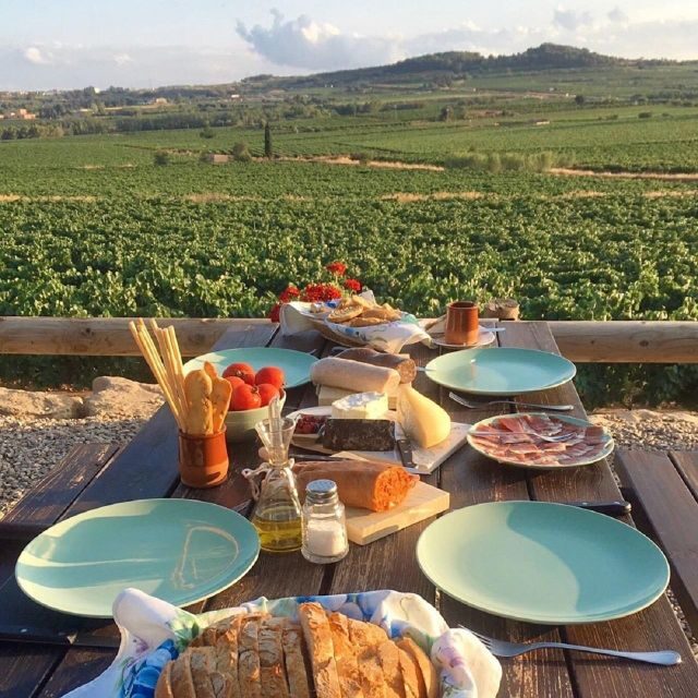 Barcelona: 3 Penedes Wineries with Hotel Pick-up and Lunch - Hotel pickup and van ride: the easiest way to do wine country from Barcelona