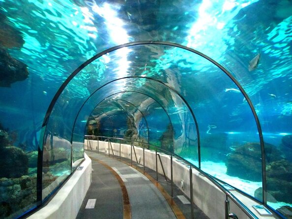 Barcelona Aquarium Skip the Line Ticket - Key Points You’ll Care About