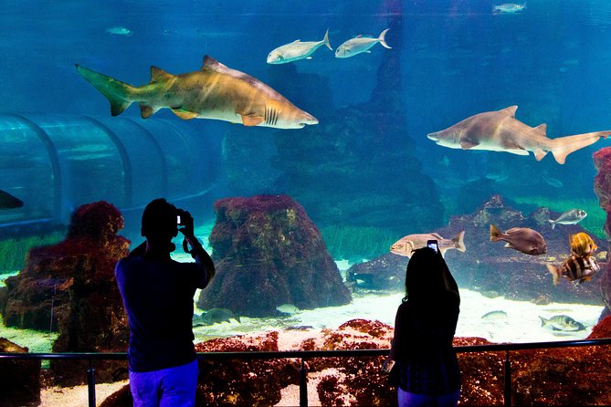 Barcelona Aquarium Skip the Line Ticket - Food, Photos, and a Gift-Shop Stop in Port Vell