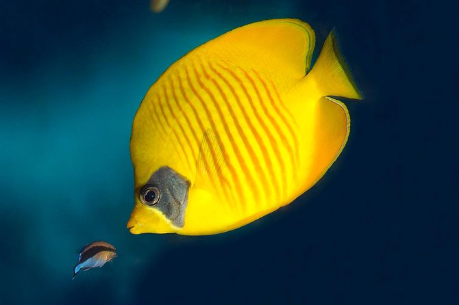 Barcelona Aquarium Skip the Line Ticket - Crowds, Rainy Saturdays, and Kids Noise: Choose Your Timing