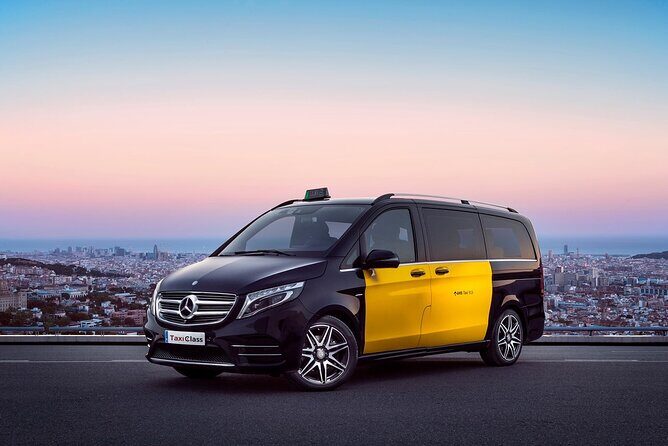 Barcelona Arrival Cruise Port to Airport private transfer - Family needs: baby seats and boosters on request
