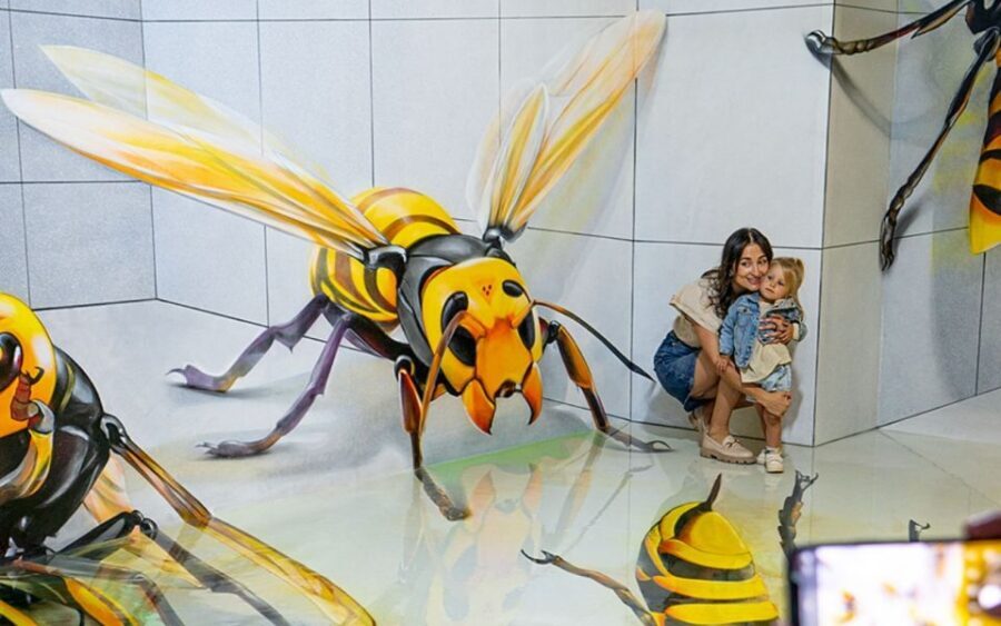 Barcelona – Big Fun Museum & Museum of Illusions Experience - Practical notes that keep the day smooth