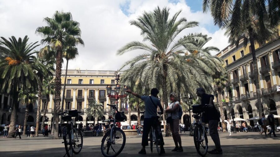 Barcelona: Bike Rental with Delivery and Pickup - Olympic Port and the Paseo Marítimo: where the ride starts to feel like a reward