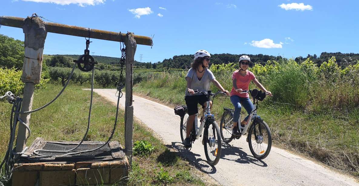 Barcelona: Bike & Wine Guided Tour - Penedès vineyards - Cava Country Just Outside Barcelona: How the Penedès Bike Day Works