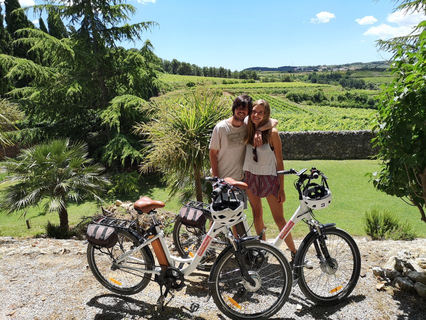 Barcelona: Bike & Wine Guided Tour - Penedès vineyards - Boutique Winery Visit: Observing an Eco-Traditional Wine Making Process