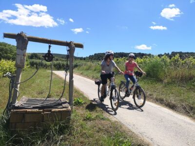 Barcelona: Bike & Wine Guided Tour - Penedès vineyards - The Cycling Part: Pedaling Through Penedès Hills with a Real Sense of Place