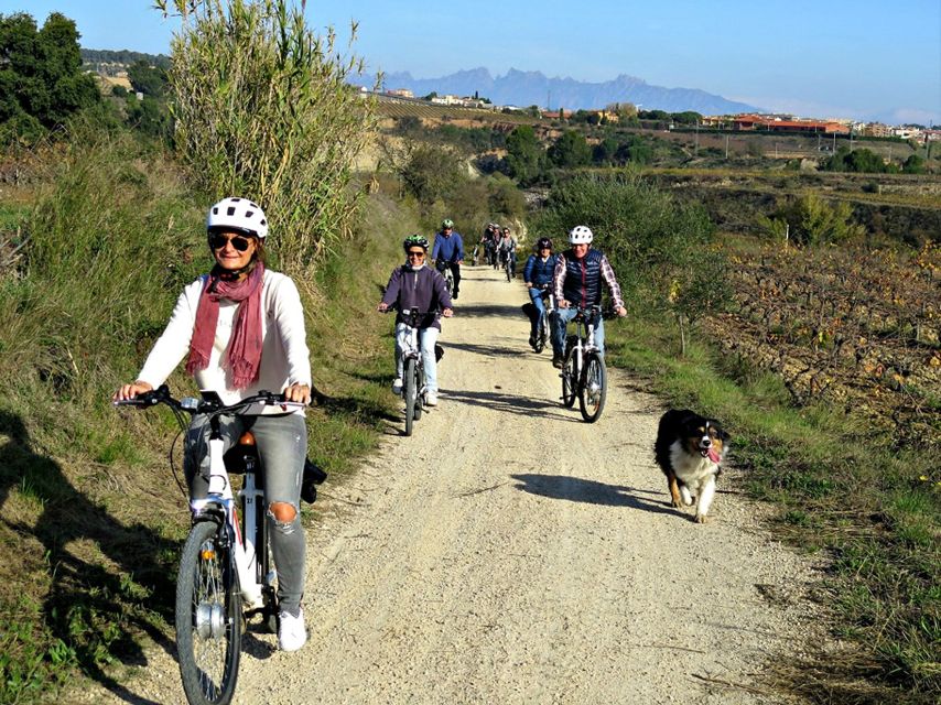 Barcelona: Bike & Wine Guided Tour - Penedès vineyards - Who This Tour Suits Best (and Who Should Skip It)