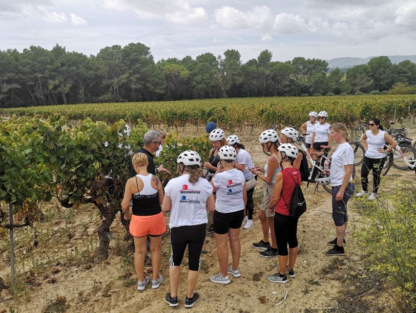 Barcelona: Bike & Wine Guided Tour - Penedès vineyards - Practical Tips Before You Go: Sunscreen, Rain Gear, and Smart Clothes