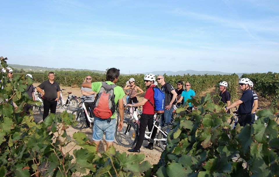 Barcelona: Bike & Wine Guided Tour - Penedès vineyards - Should I Book This Barcelona Bike and Wine Tour to Penedès?