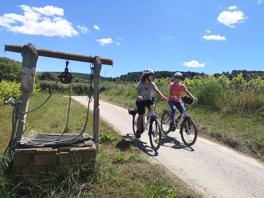Barcelona: Bike & Wine Guided Tour - Penedès vineyards - The Cycling Part: Pedaling Through Penedès Hills with a Real Sense of Place