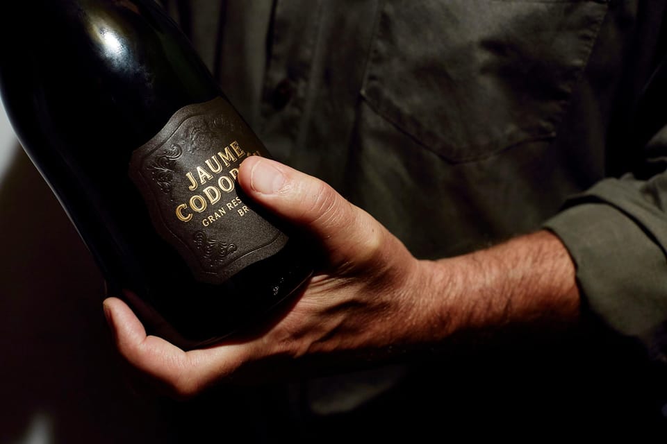 Barcelona: Casa Codorníu Guided Tour with Cava Tastings - Should you book Casa Codorníu with cava tastings?