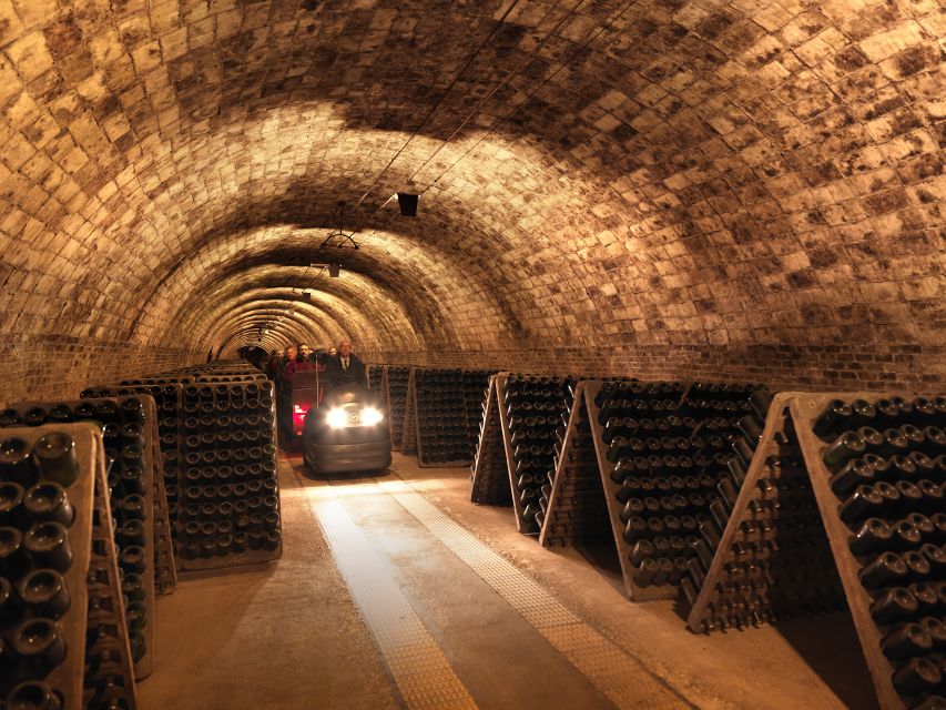 Barcelona: Casa Codorníu Guided Tour with Cava Tastings - The museum and cava basics you can actually connect to