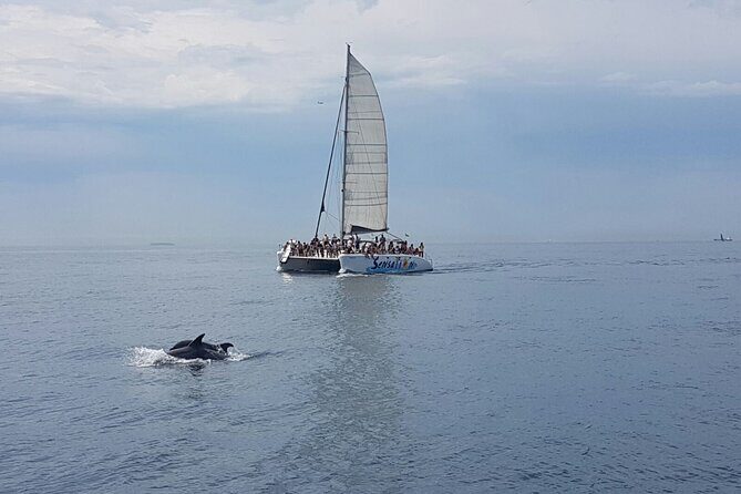 Barcelona Catamaran Party Tour For Young People - The party vibe: music, games, and the crowd you’ll likely meet