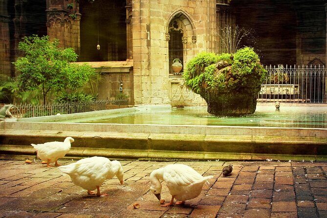 Barcelona Cathedral: Ticket, Guided Tour, Terrace + VR Experience - VR reconstructions: a small tech moment that can make the cathedral click