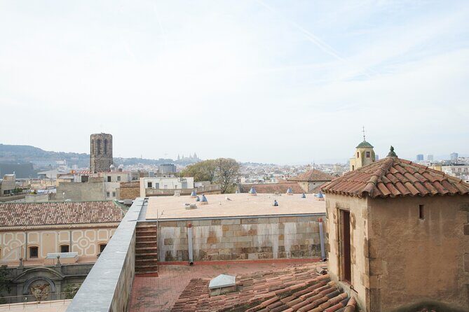 Barcelona Cathedral: Ticket, Guided Tour, Terrace + VR Experience - Who should book this tour (and who might not)