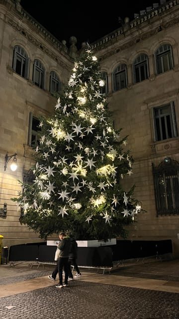 Barcelona: Christmas Lights and Markets Bike Tour - Sagrada Familia: market browsing plus guided context