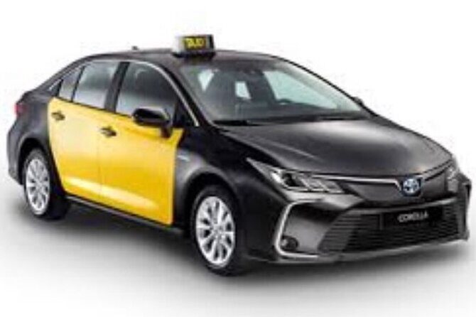 Barcelona City to Cruise Port Private Transfer - Baby Seats and Extra Requests (If You Need Them)