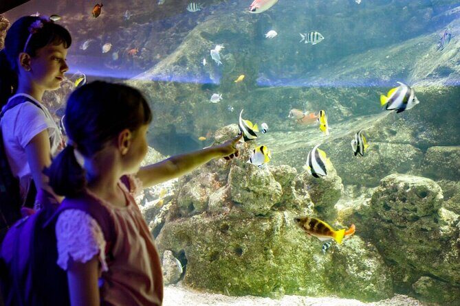 Barcelona City Tour Hop-On Hop-Off and Aquarium - What to do at each stop: practical choices that save your feet