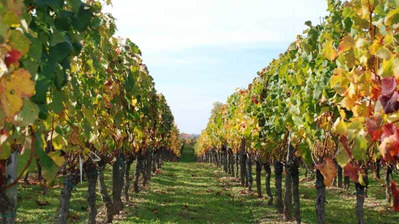 Barcelona: Coastline E-Bike and Wine Tasting Tour - Key Highlights You’ll Actually Feel