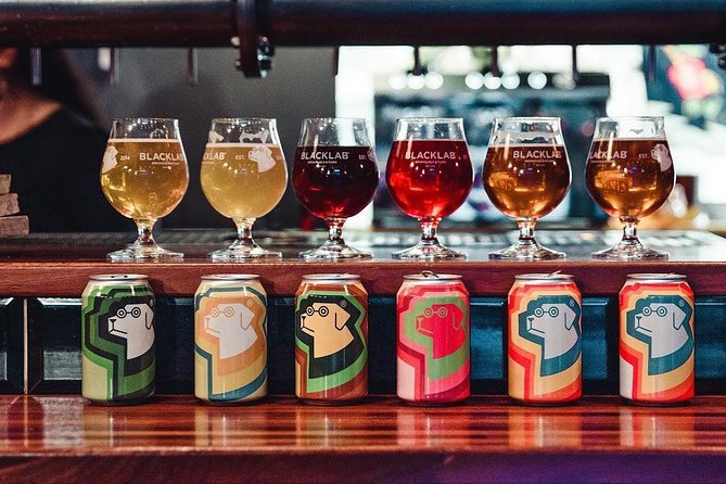 Barcelona Craft Beer Tour with a Brewery Tour and 3 Local Bars - Who this tour suits best (and who should adjust expectations)