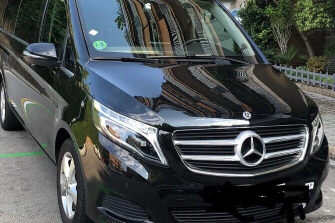 Barcelona Cruise port to barcelona city private transfer - Luggage, family options, and driver help that matters at cruise time