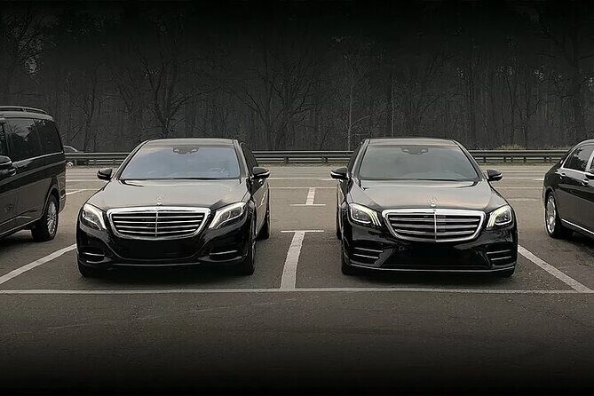 Barcelona Cruise Port Transfer (Private): Arrival or Departure - Inside the Car: What Private Luxury Means on a Cruise Day