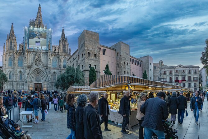 Barcelona cultural tailored private tour - guest pickup - Barri Gòtic and Barcelona Cathedral: the quick way to get oriented