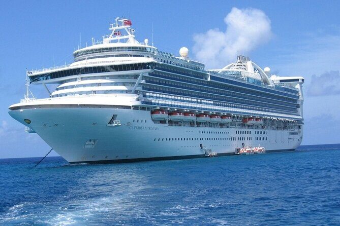 Barcelona Departure Private Transfer From City To Cruise Port - Who this Barcelona-to-port transfer suits best