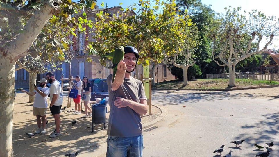 Barcelona: e-scooter and Bike tour - Price and Value: What $51 Buys in a 2–3 Hour Barcelona Loop