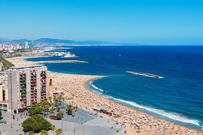 Barcelona eBike Beach Private Tour to Vineyards & Picnic - Key highlights at a glance
