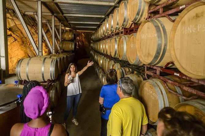 Barcelona eBike Beach Private Tour to Vineyards & Picnic - The Besós River and Anis del Mono: A Side of the City Most People Skip