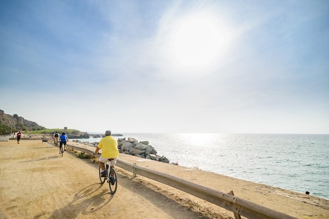 Barcelona eBike Beach Private Tour to Vineyards & Picnic - The Winery Stop: Vineyard and Cellar, Then Four Wines