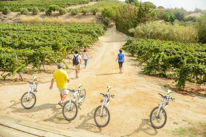 Barcelona eBike Beach Private Tour to Vineyards & Picnic - Picnic Lunch: Included, But Plan for a Light Meal