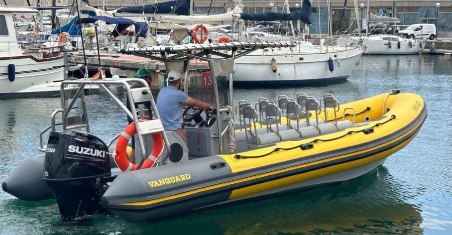 Barcelona: Fast Skyline Cruise - Key Things to Know Before You Go